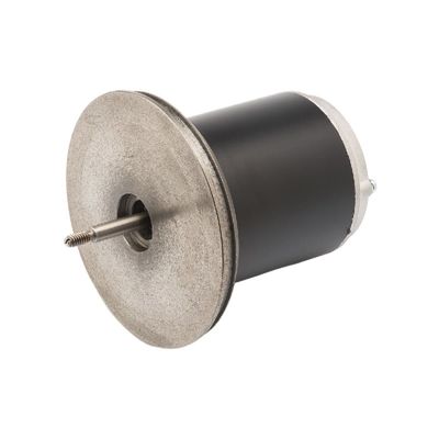 83ZYT 110-220V 300w แม่เหล็กถาวร Micro DC มอเตอร์สำหรับเครื่องลูกเทนนิส